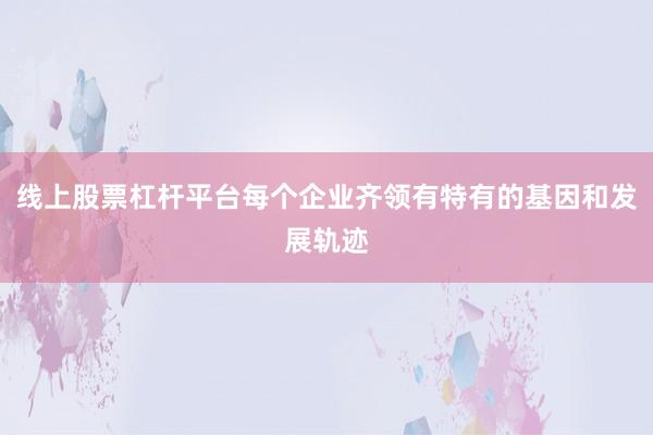 线上股票杠杆平台每个企业齐领有特有的基因和发展轨迹