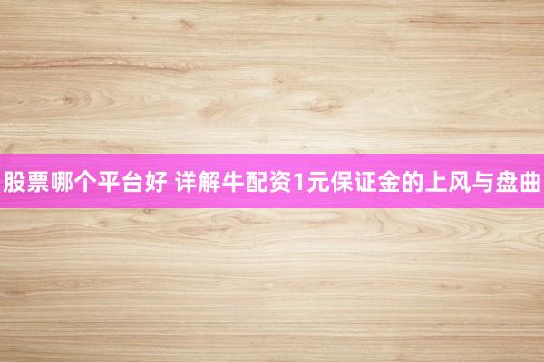 股票哪个平台好 详解牛配资1元保证金的上风与盘曲