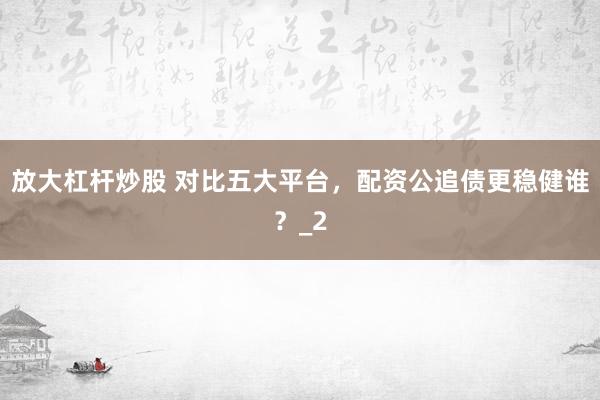 放大杠杆炒股 对比五大平台，配资公追债更稳健谁？_2